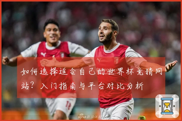 如何选择适合自己的世界杯竞猜网站?入门指南与平台对比分析