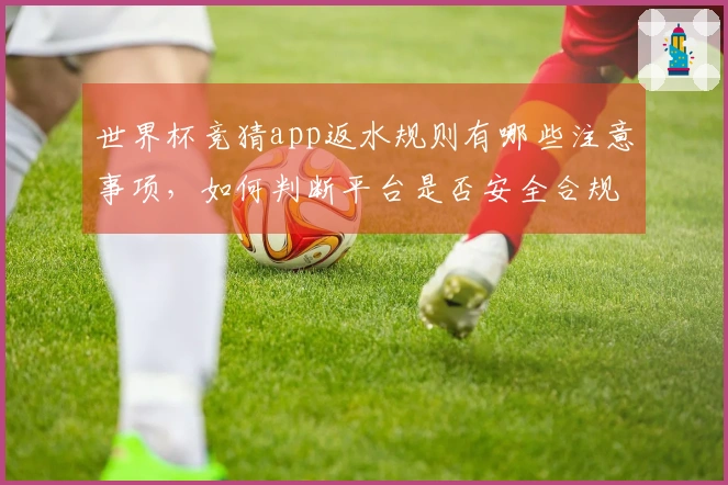 世界杯竞猜app返水规则有哪些注意事项，如何判断平台是否安全合规