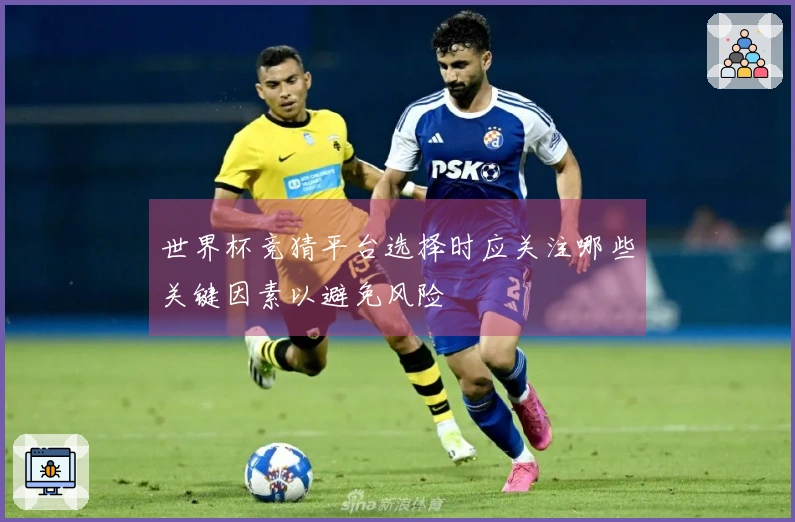 世界杯竞猜平台选择时应关注哪些关键因素以避免风险