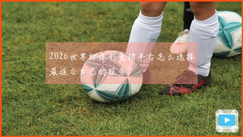 2026世界杯体彩竞猜平台怎么选择最适合自己的服务？