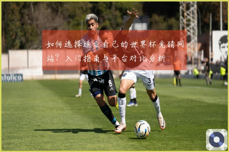 如何选择适合自己的世界杯竞猜网站？入门指南与平台对比分析