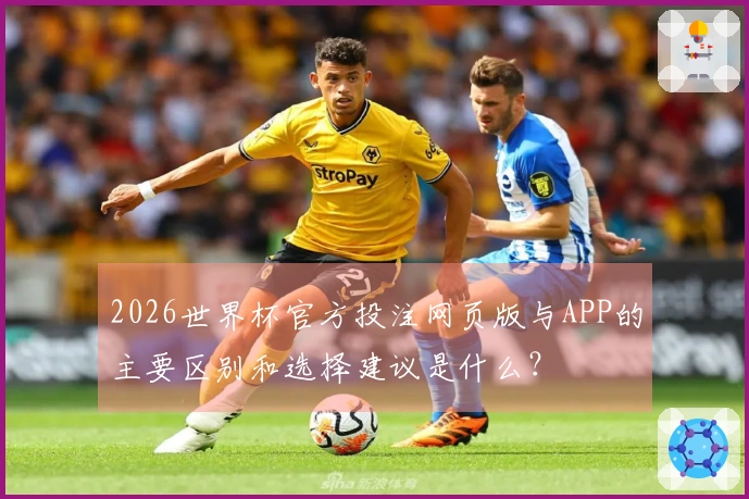 2026世界杯官方投注网页版与APP的主要区别和选择建议是什么？