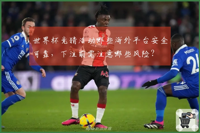 世界杯竞猜活动哪些海外平台安全可靠，下注前需注意哪些风险？
