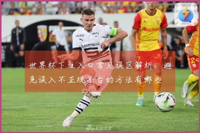 世界杯下注入口常见误区解析，避免误入不正规平台的方法有哪些