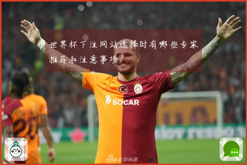 世界杯下注网站选择时有哪些专家推荐和注意事项？