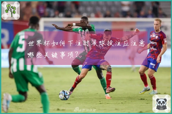 世界杯如何下注时滚球投注应注意哪些关键事项？