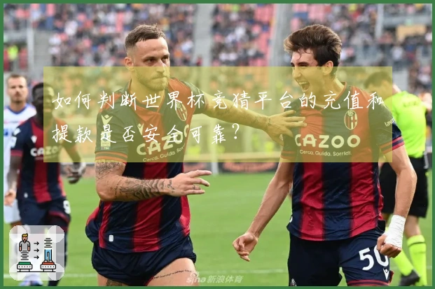 如何判断世界杯竞猜平台的充值和提款是否安全可靠？