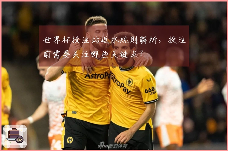 世界杯投注站返水规则解析，投注前需要关注哪些关键点？