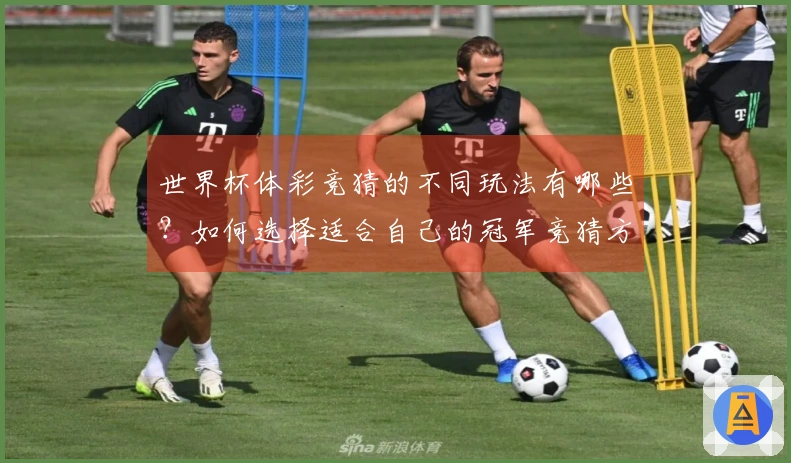 世界杯体彩竞猜的不同玩法有哪些？如何选择适合自己的冠军竞猜方式？