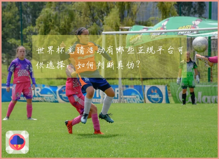 世界杯竞猜活动有哪些正规平台可供选择，如何判断真伪？