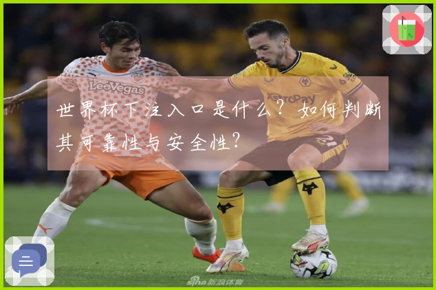 世界杯下注入口是什么？如何判断其可靠性与安全性？