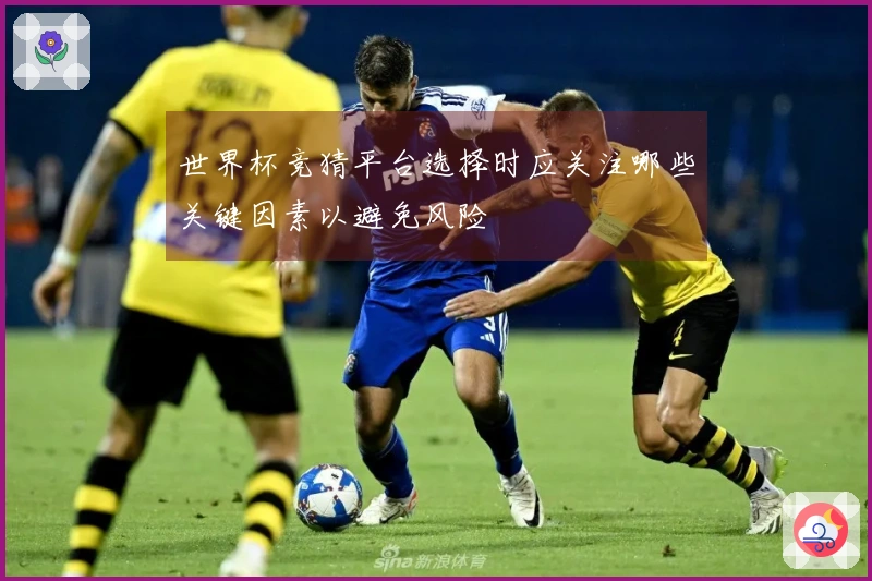世界杯竞猜平台选择时应关注哪些关键因素以避免风险