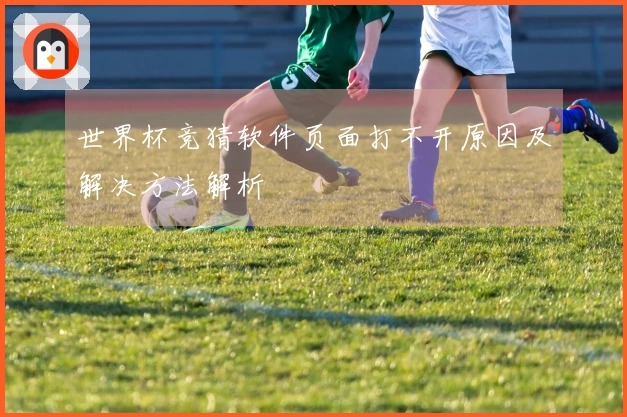 世界杯竞猜软件页面打不开原因及解决方法解析